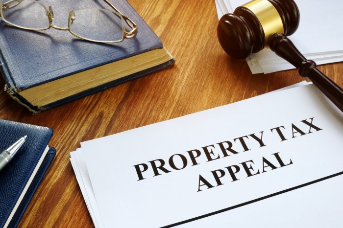 Fulton county real estate tax appeal