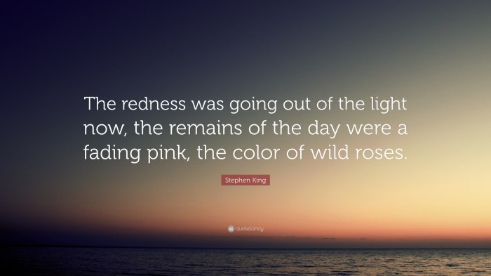 Quotes from the remains of the day