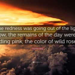 Quotes from the remains of the day