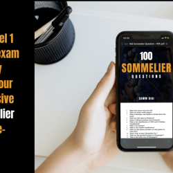 Level one sommelier practice test