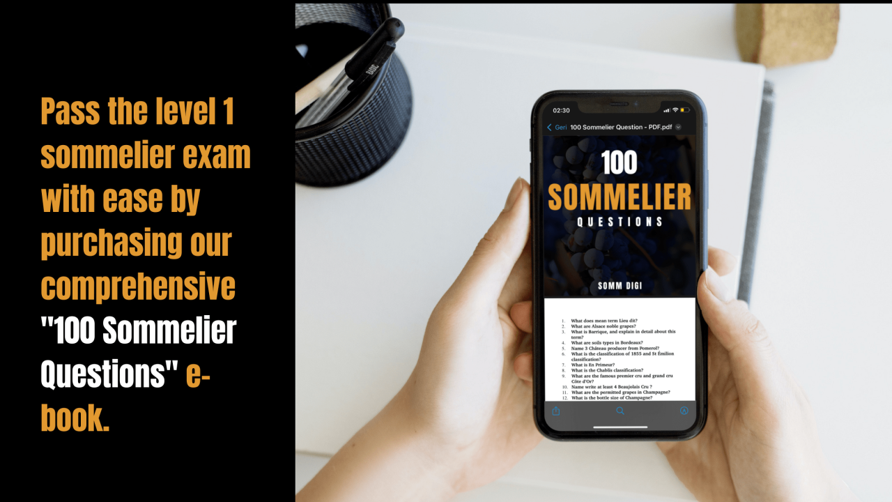 Level one sommelier practice test