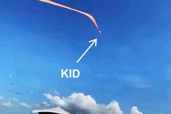 A kite 100 feet above the ground