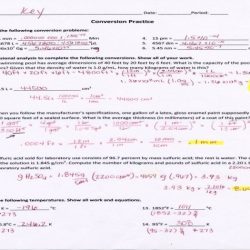 Percent of error worksheet with answers