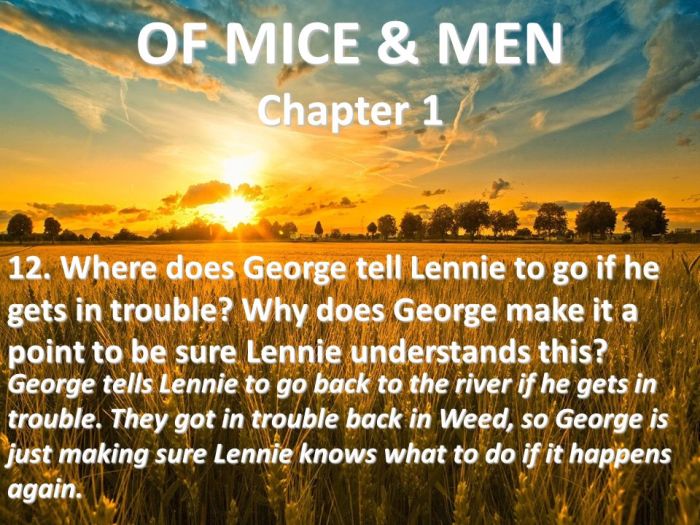 Mice men chapter three quotes writing creative curley lennie teaching tes resources narrative