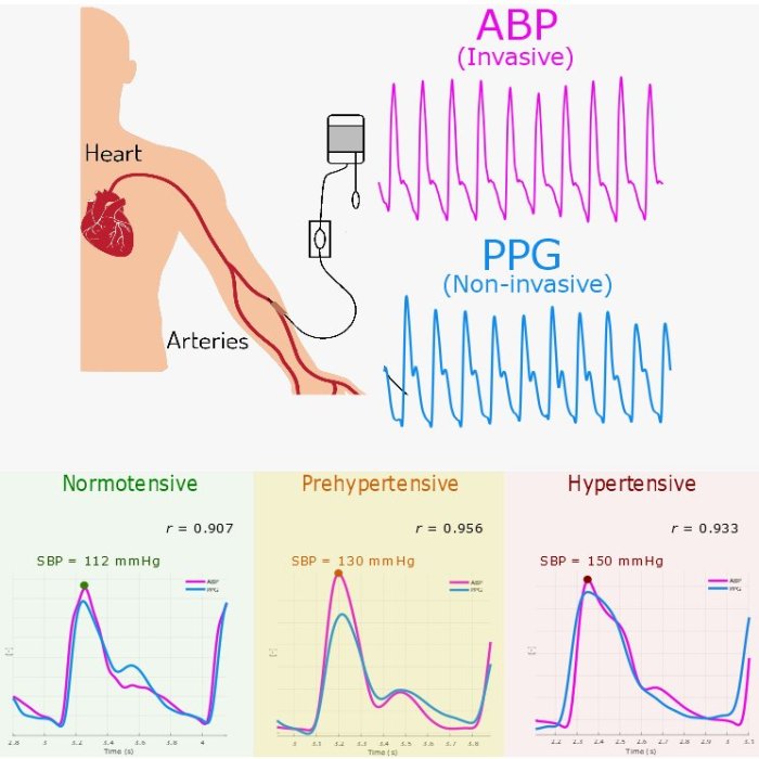 Digging deeper vital signs pulse and blood pressure