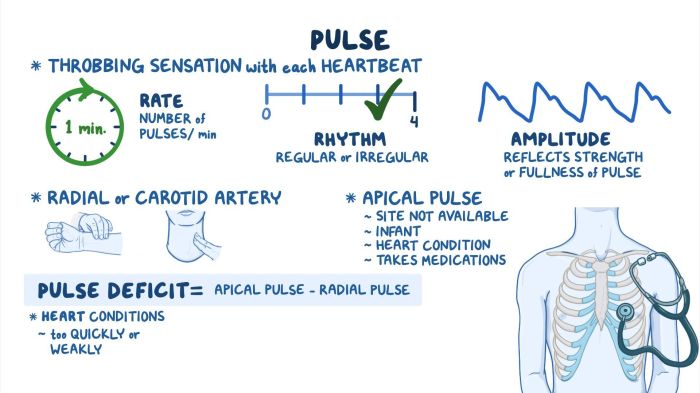 Digging deeper vital signs pulse and blood pressure